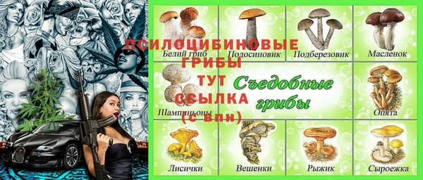хмурый Богданович