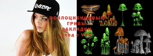 метамфетамин Богородицк