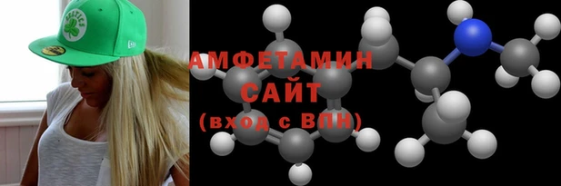 индика Богородск
