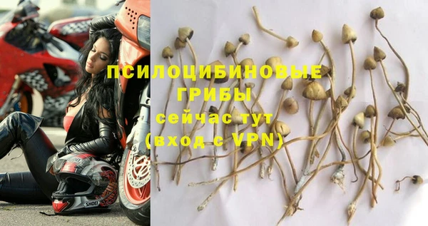 хмурый Богданович
