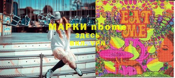 индика Богородск