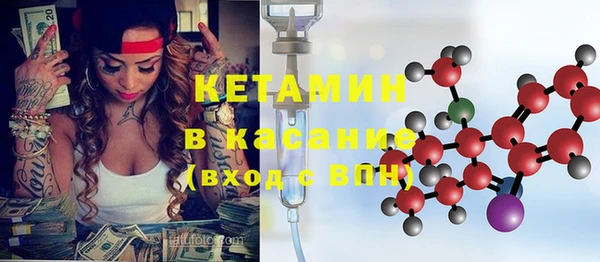 индика Богородск
