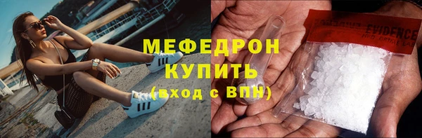 индика Богородск
