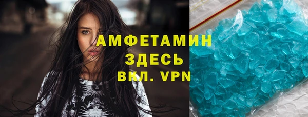 индика Богородск