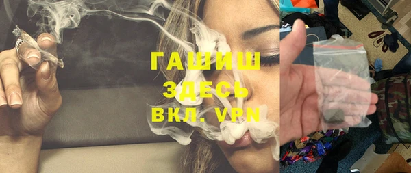 индика Богородск