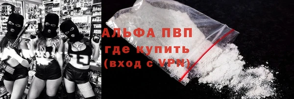 индика Богородск