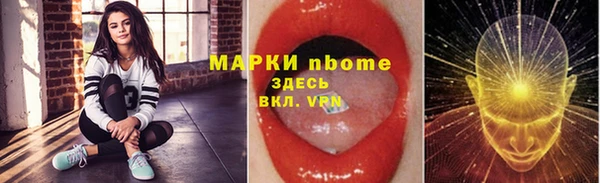 индика Богородск